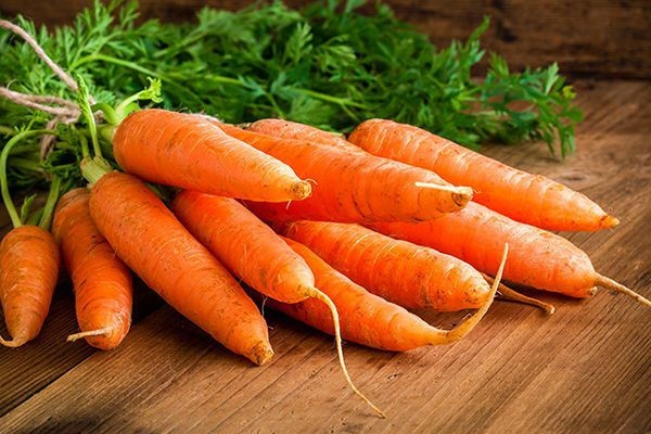 Zanahoria, verdura habitual en una dieta equilibrada