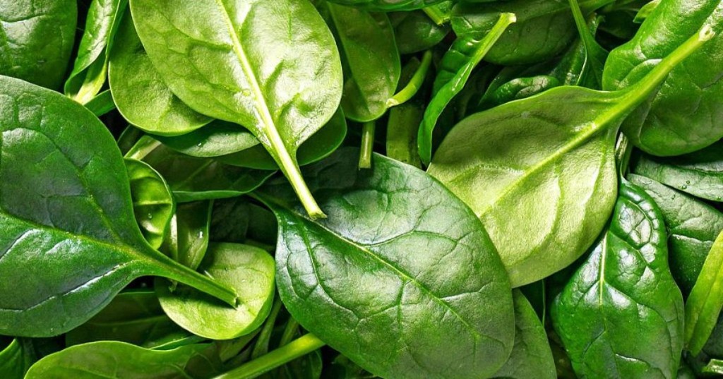 Espinacas, vegetal de hoja verde